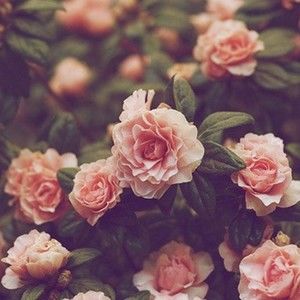 Meet your Posher, Kathryn